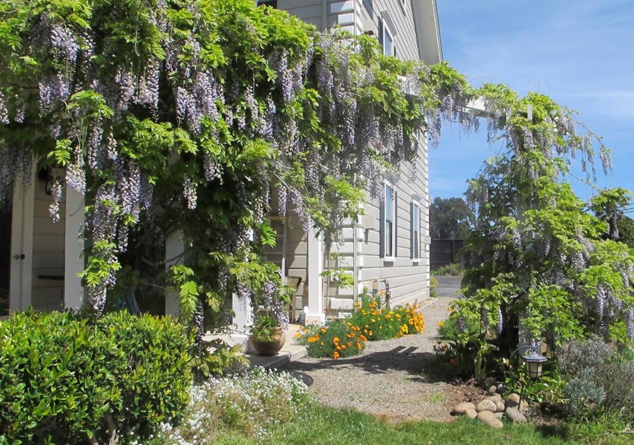 Flora Vista Inn La Selva Beach Exterior photo